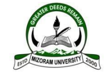 Mizoram University Recruitment 2025